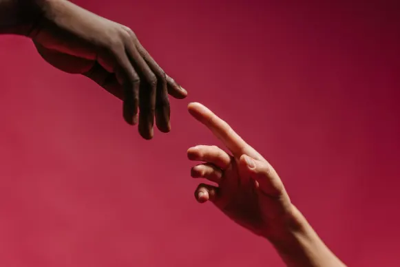 Kaszinó Vegas Crest Támogatás